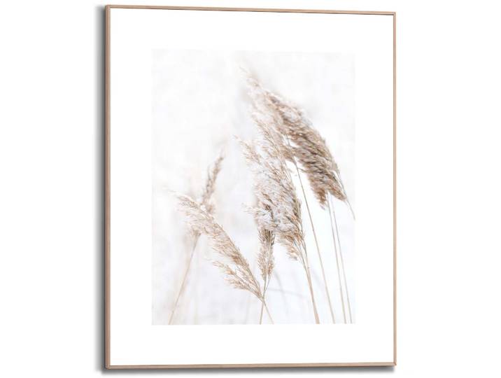 Kunstdruck REINDERS Pampasgras , weiss (farbe bild(er): weiß), B:40cm H:50cm T:1,6cm, MDF, Bilder, Kunstdruck