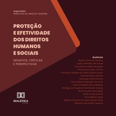 Proteção e Efetividade dos Direitos Humanos e Sociais - Winston de Araújo Teixeira, Audio, 9786527083672