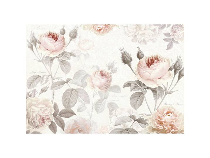 Komar Vliestapete, Grau, Rosa, Floral, 368x248 cm, Fsc, Tapeten & Wandverkleidungen, Vliestapeten