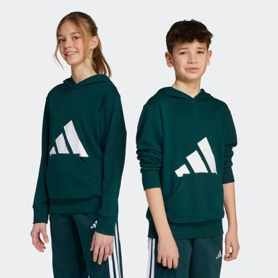 adidas Sportswear "ESSENTIALS KIDS HOODIE"