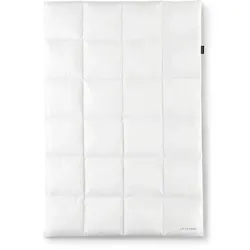 OBB Black Forest Birta Daunendecke extra-warm - 200x200cm