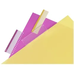 Snopake, Heft + Block, Projektbuch Eligo ReOrganiser A4 75 Blatt 80g/qm mit Register PP schwarz (A4, Liniert, Kein Einband)