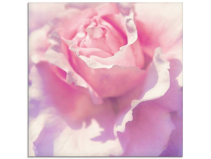 Glasbild ARTLAND Rosa , pink (farbe bild(er): pink), B:50cm H:50cm, Bilder, Glasbild, in verschiedenen Grössen