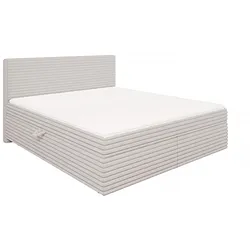 BOXBETT Roma 180/200 cm Hellgrau Plüschcord