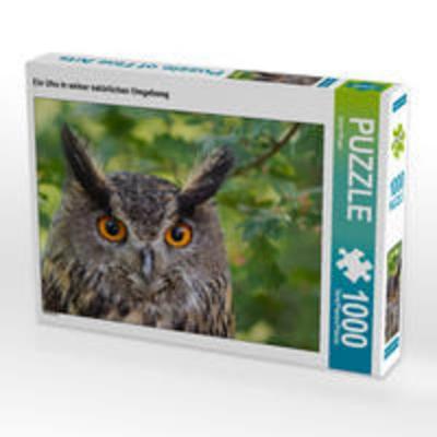 CALVENDO Puzzle Ein Uhu in seiner natürlichen Umgebung 1000 Teile Lege-Größe 64 x 48 cm Foto-Puzzle Bild von Hans Pfleger