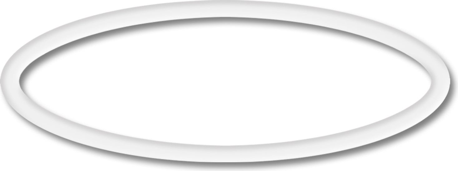 SunSun O-ring 2 reserveonderdeel voor zwembadpomp