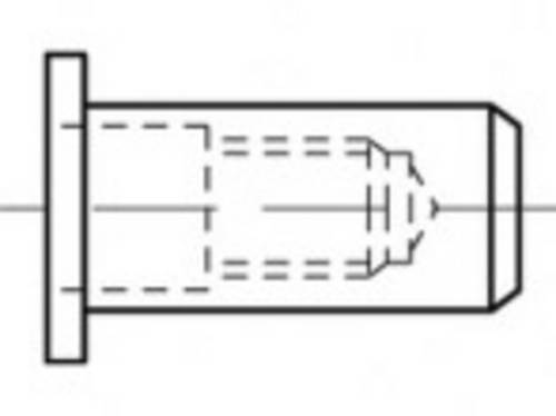 TOOLCRAFT TO-5455272 Blindnietmutter M6 500St.
