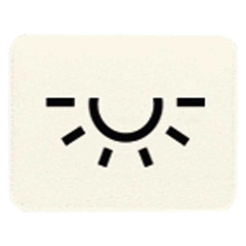 JUNG ST Symbol Licht 33L weiss ALT: 31L (22637132)
