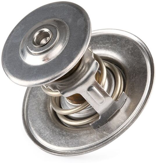FAE 5307087 Thermostat