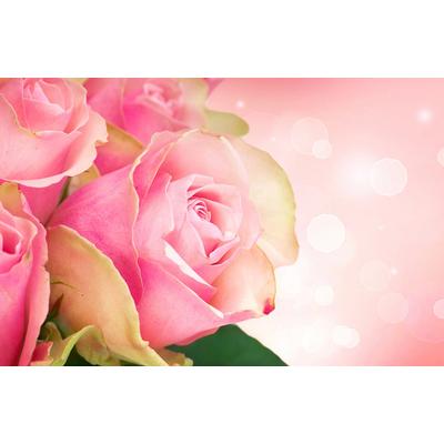 Fototapete PAPERMOON "ROSEN-BLUMEN ART DESIGN ABSTRAKT MUSTER DECOR KUNST", bunt, B:3m L:2,23m, Vlies, Tapeten