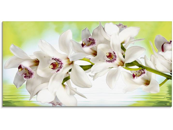 Glasbild ARTLAND Weisse Orchidee , weiss (farbe bild(er): weiß), B:100cm H:50cm, Bilder, Glasbild, in verschiedenen Grössen