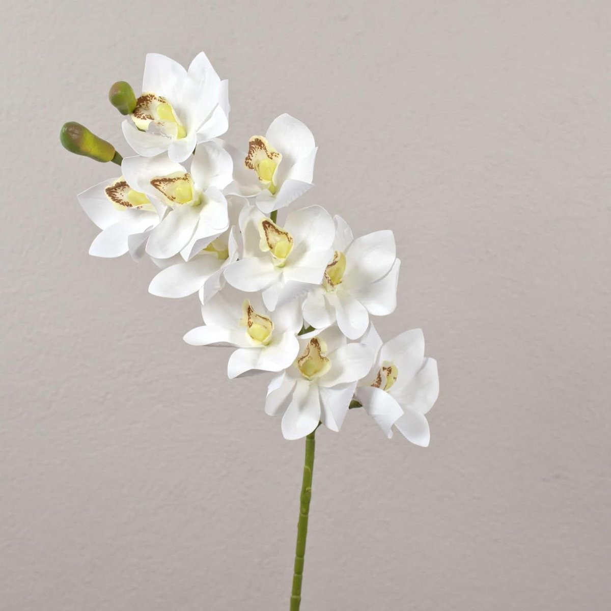 Decoratieve witte kunstorchidee met realistische uitstraling, 75 cm
