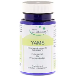 Yamswurzel Pulver 50 g