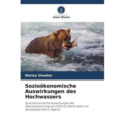 Sozioökonomische Auswirkungen des Hochwassers, Taschenbuch von Nonso Uwabor, Verlag Unser Wissen, 978-620-5-05724-7