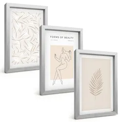 BILDER SET 3er Set - 20x30 cm Silberner Rahmen - Minimalistische botanische Motive