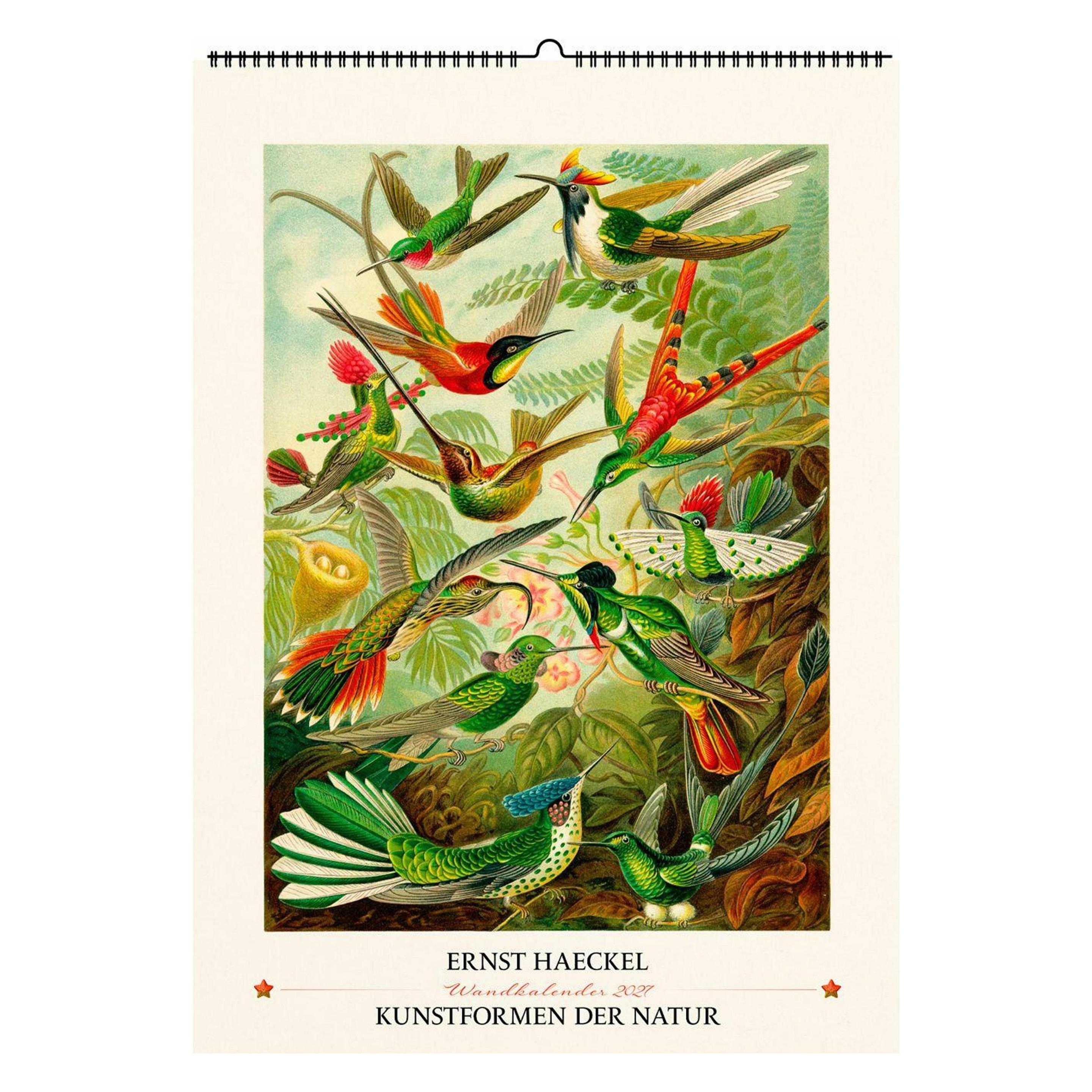 Favoritenpresse Ernst Haeckel. Kunstformen der Natur. W (71135833)