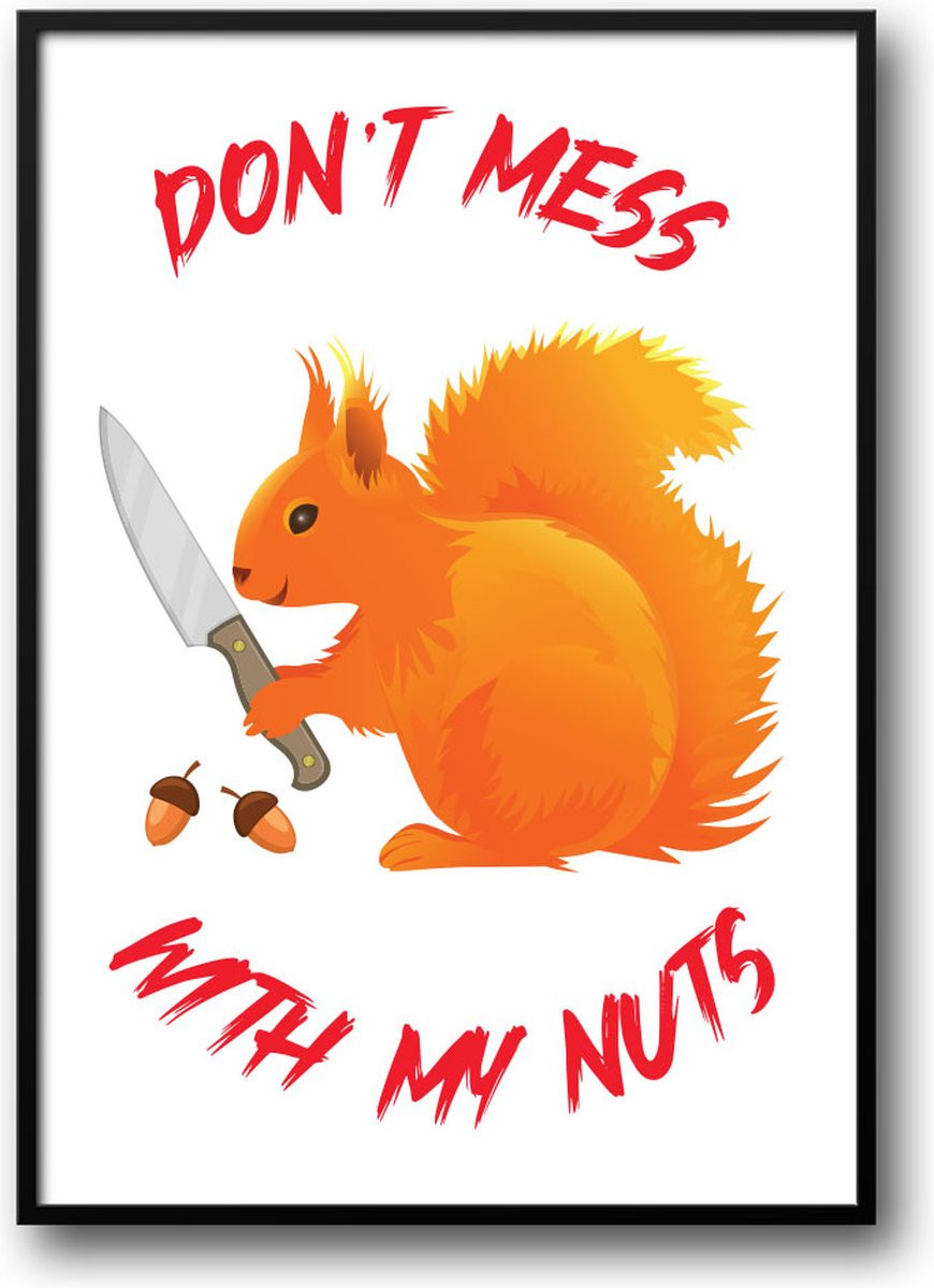 Grappige poster Don't mess with my nuts met glazen fotolijst, eekhoorn thema, 30 x 40 cm