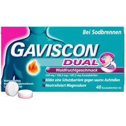 Gaviscon Dual Waldfrucht 250mg/106,5mg/187,5mg 48 St