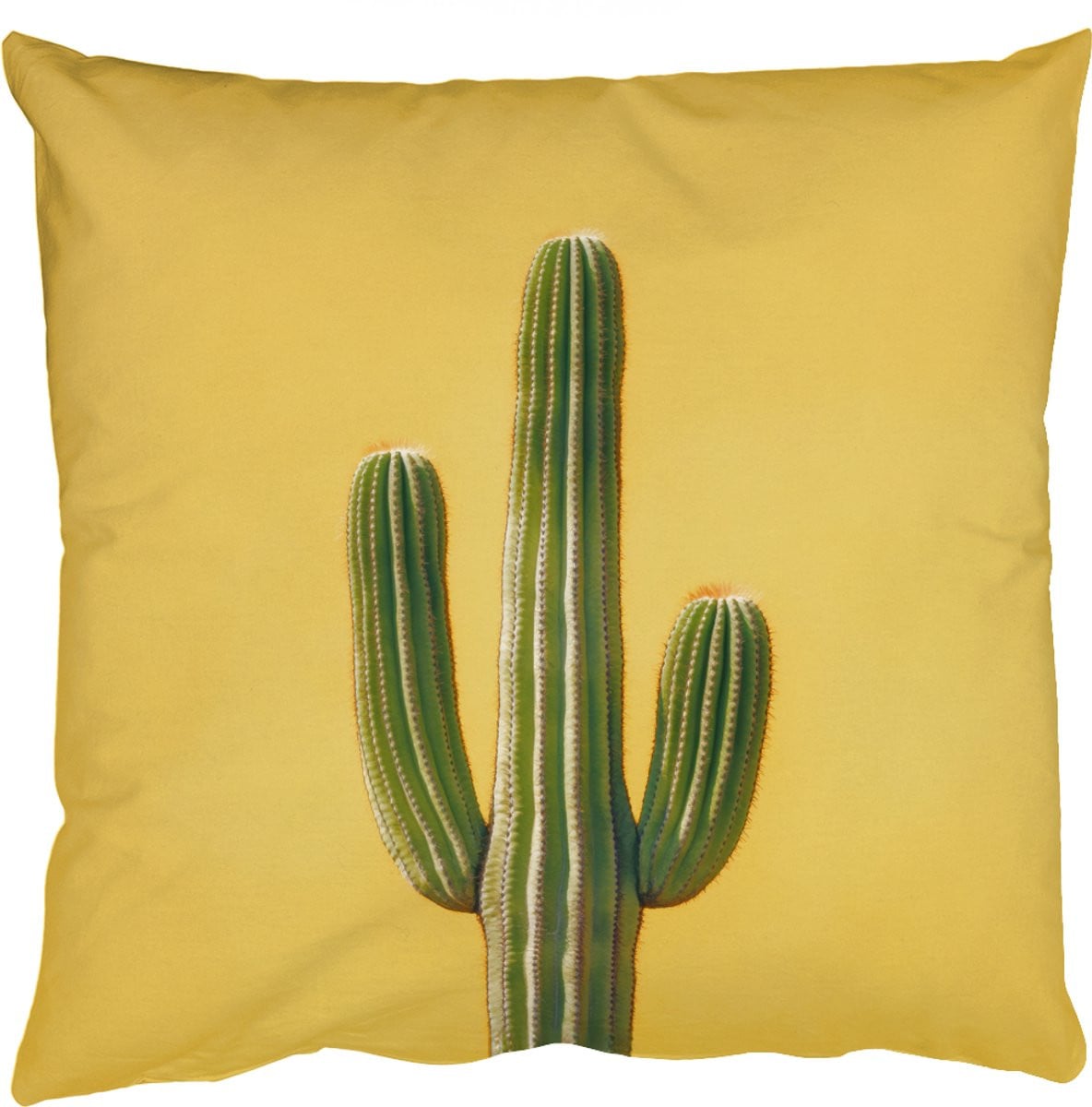 PillowMonkey Sierenkussen Cactus Groen Minimalistisch 40 x 40 cm