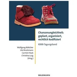 Chancenungleichheit: geplant, organisiert, rechtlich kodifiziert, Fachbücher von Lilo Brockmann, Wolfgang Böttcher, Carmen Hack, Christina Luig