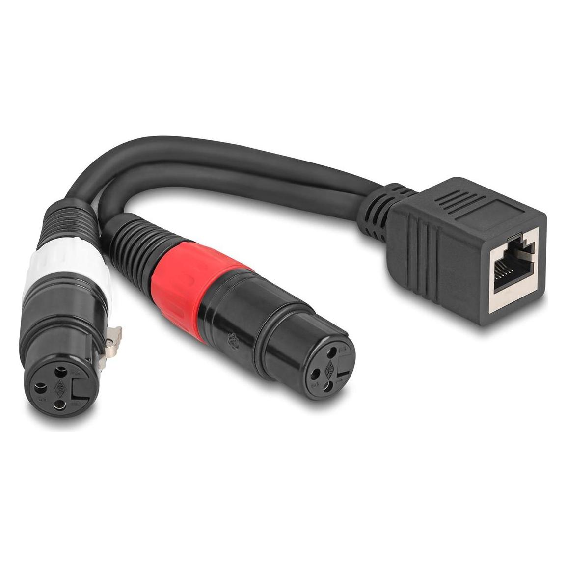 Delock Adapterkabel RJ45 Buchse zu 2 x XLR 3 Pin Buchse schwarz 20 cm (88178) (Splitter) (88178)