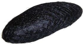 Eurostil Enchimento Coque Grande Alongado #Preto