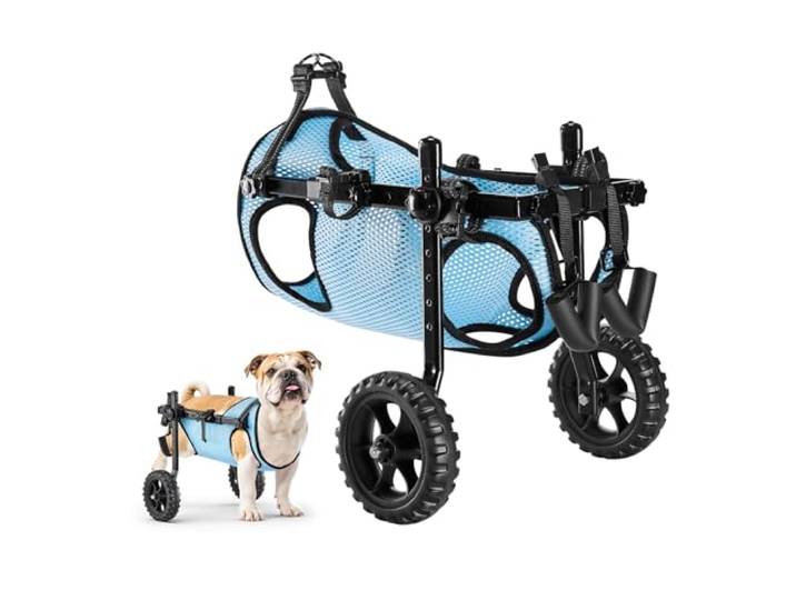 VEVOR Fauteuil Roulant léger à 2 Roues pour Chien - Hauteur réglable - Largeur et Longueur - Chariot pour Chien avec Roues Absorbant Les Chocs - pour Chiens blessés et handicapés