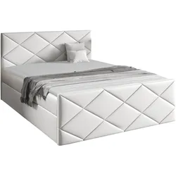 BOXBETT Herkules - H3