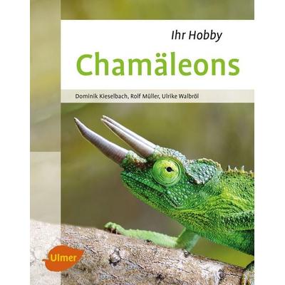 Chamäleons, Gebundene Ausgabe von Dominik Kieselbach,Rolf Müller,Ulrike Walbröl, Verlag Eugen Ulmer, 978-3-8001-0395-9