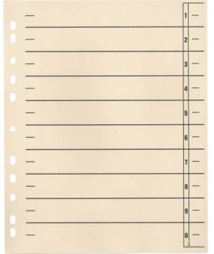 Soennecken Trennblatt 1554377 DIN A4 190 g/m² 100St.