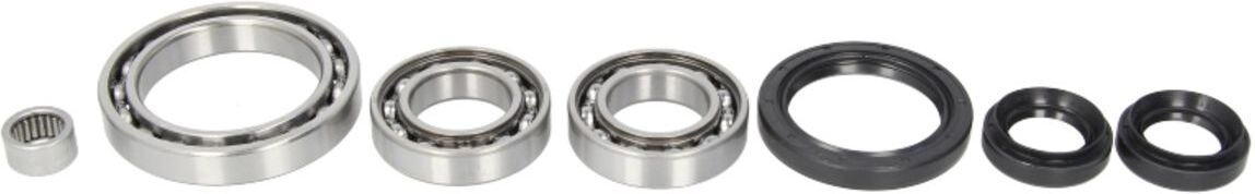 Reparatursatz, Differential ALL BALLS AB25-2073