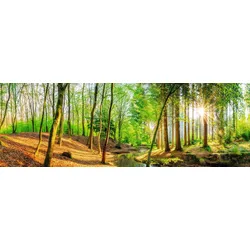 Bild SPRING WOODS (BH 156x52 cm) - grün - BH 156x52 cm
