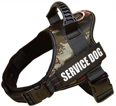 Inspire Essentials SecureFit Personalized Dog Harness 15 xs