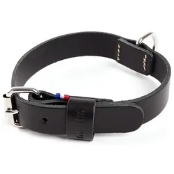 Martin Sellier 499 (35, 41, Hund, Allgemein), Halsband + Leine