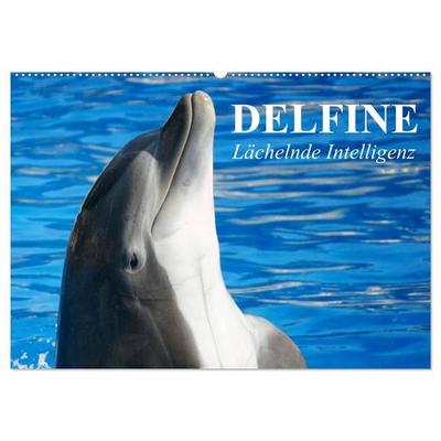 Delfine - Lächelnde Intelligenz (Wandkalender 2027 DIN A2 quer), CALVENDO Monatskalender
