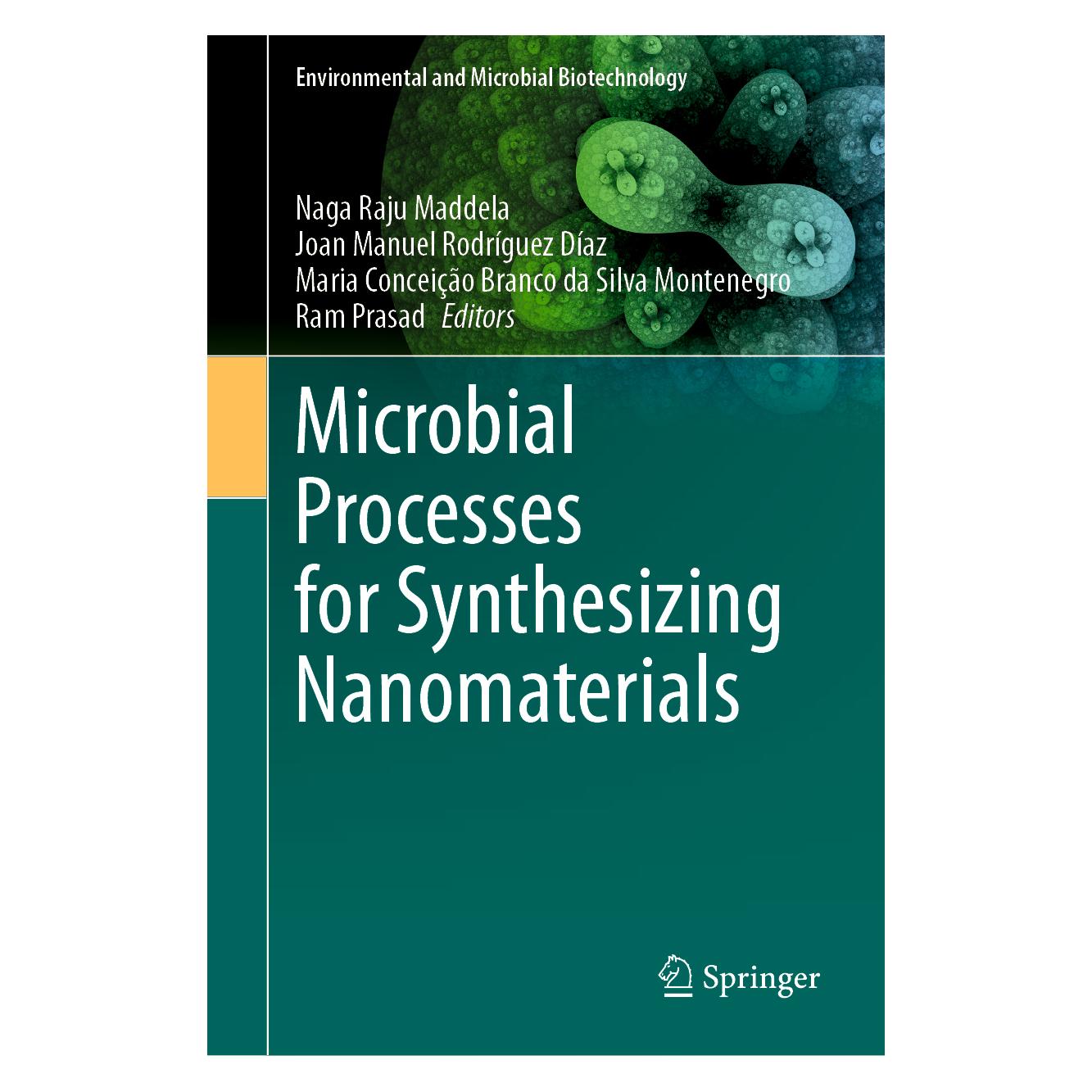 Springer Microbial Processes for Synthesizing Nanomaterials (Englisch, Hardcover, Joan Manuel Rodríguez Díaz, Joan/Conceiço Branco da Si, Manuel Rodrguez Daz, Maria Conceição Branco da Silva Montenegro, Naga Raju Maddela, Ram Prasad) (67714586)