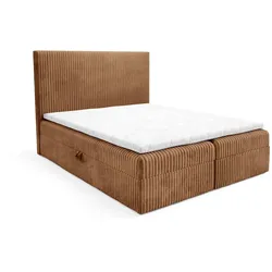 BOXBETT Arnau