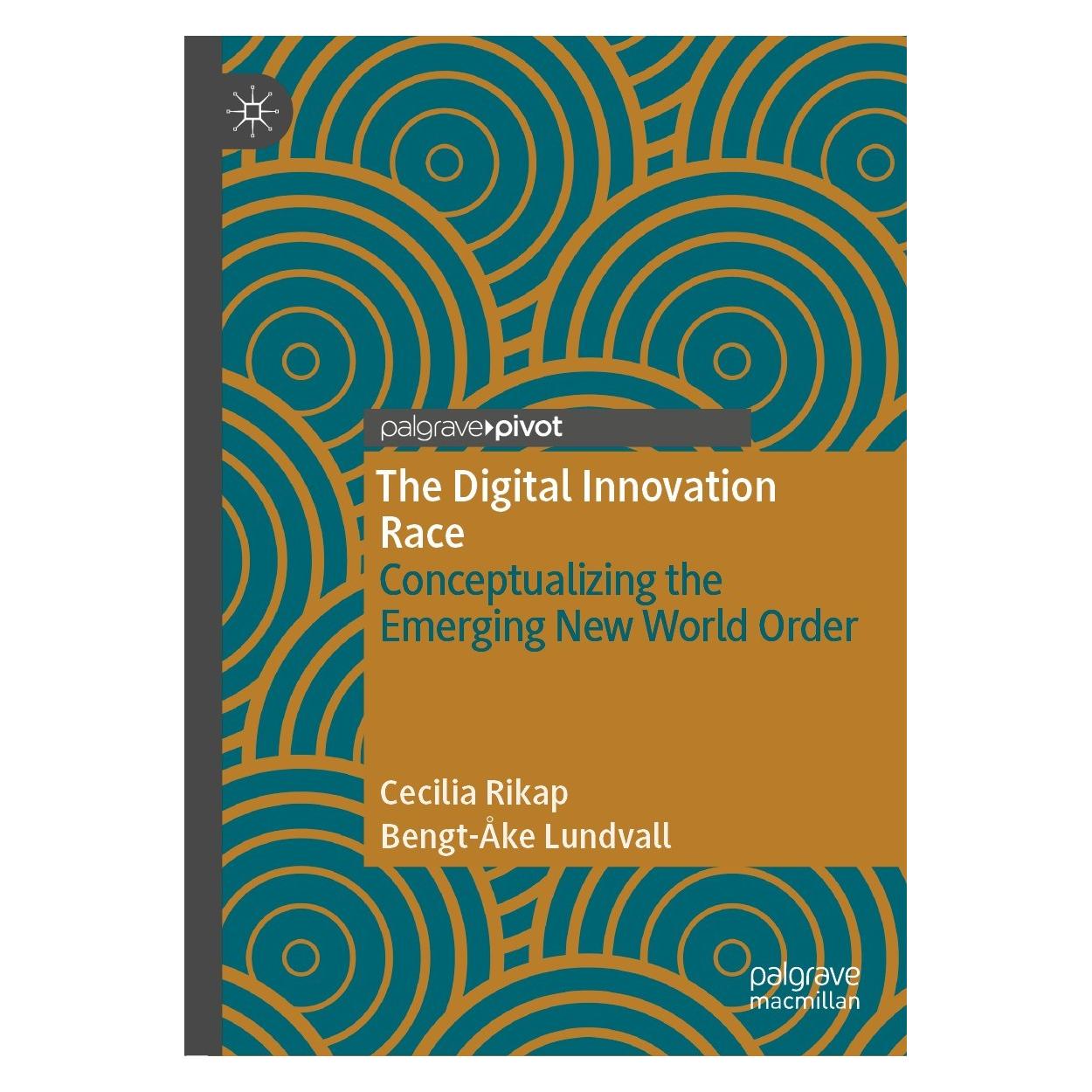 Springer The Digital Innovation Race (9783030894429)