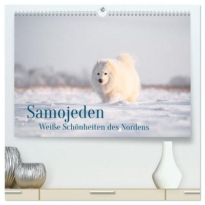 Samojeden - Liebenswerte Fellkugeln (hochwertiger Premium Wandkalender 2027 DIN A2 quer), Kunstdruck in Hochglanz
