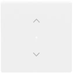 Busch-Jaeger Wippe 1-f Symbol Jalousie 6232-10-84