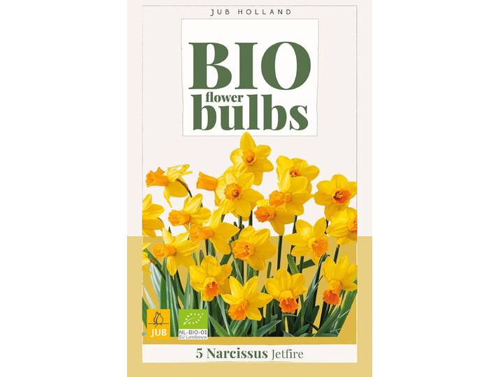 Narcissus jetfire bio bloembol JUB 5 stuks
