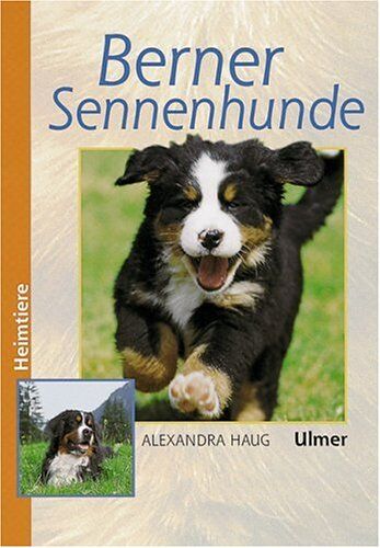 Alexandra Haug - Berner Sennenhunde (Heimtiere) - Preis vom 30.09.2026 22:30:23 h