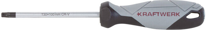 Kraftwerk BASIC LINE Tournevis TX T30 x 100 mm (305.103.030)