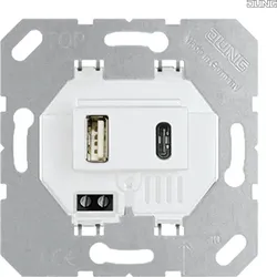Jung USB-Ladegerät USB15CAWW