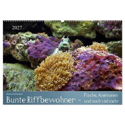 Bunte Riffbewohner - Fische, Anemonen und noch viel mehr (Wandkalender 2027 DIN A2 quer), CALVENDO Monatskalender