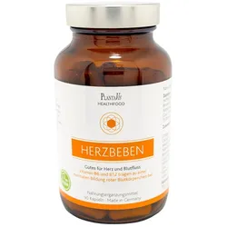 PlantaVis Herzbeben 90 St