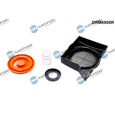 DR.MOTOR AUTOMOTIVE Membran, Kurbelgehäuseentlüftung DRM6906R für Ford LAND ROVER