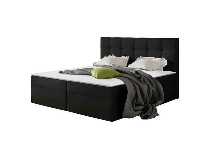 BOXBETT Nele - H3