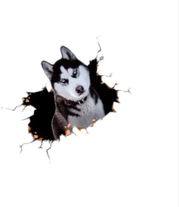 INF Kreativer 3D Autoaufkleber mit kleinem Husky (2er-Pack) - Niedlicher Cartoon Tier Autoaufkleber