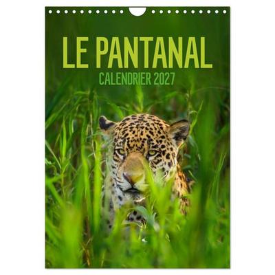 Le Pantanal (Calendrier mural 2027 DIN A4 horizontal), CALVENDO calendrier mensuel